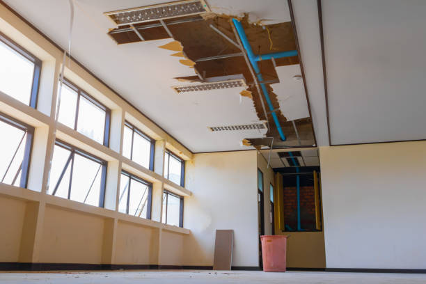 Best Mold removal after water damage  in Toledo, OH