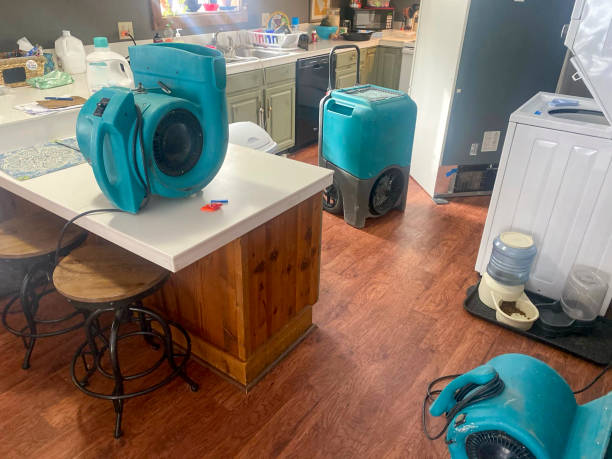  Toledo, OH Water damage restoration Pros