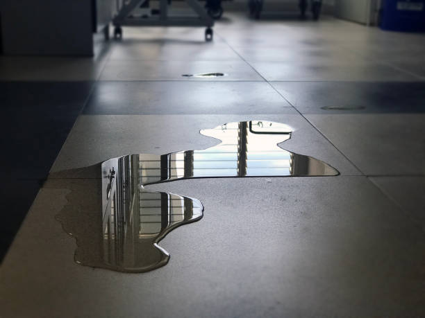 Best Water damage contractors near me  in Toledo, OH