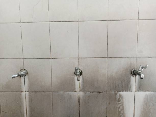 Best Residential water damage restoration  in Toledo, OH