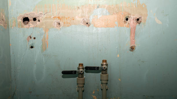 Best Sewage cleanup and water damage restoration  in Toledo, OH